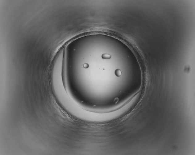 X0000111201260200907151405