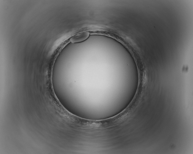 X0000111201261200907151405