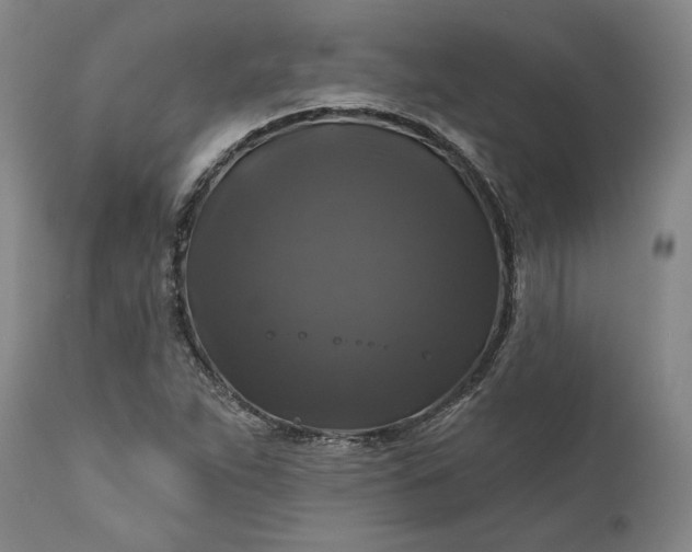 X0000111201263200907151405