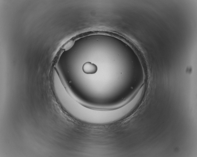 X0000111201264200907151405