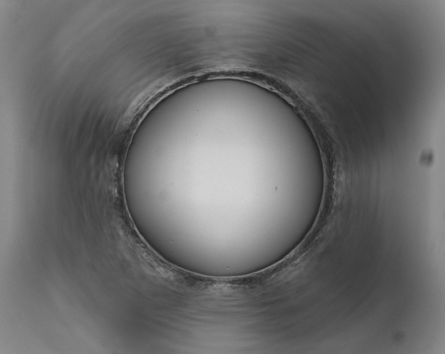 X0000111201265200907151405