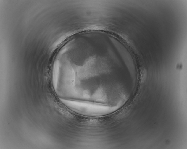 X0000111201266200907151405