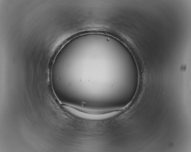 X0000111201267200907151405