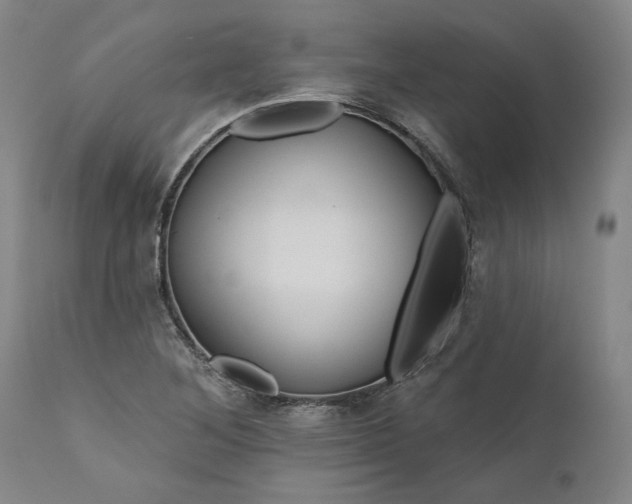 X0000111201268200907151405