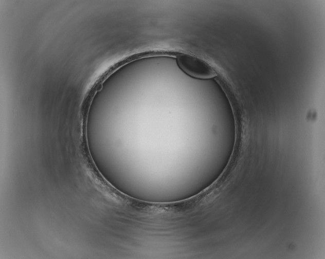 X0000111201270200907151405