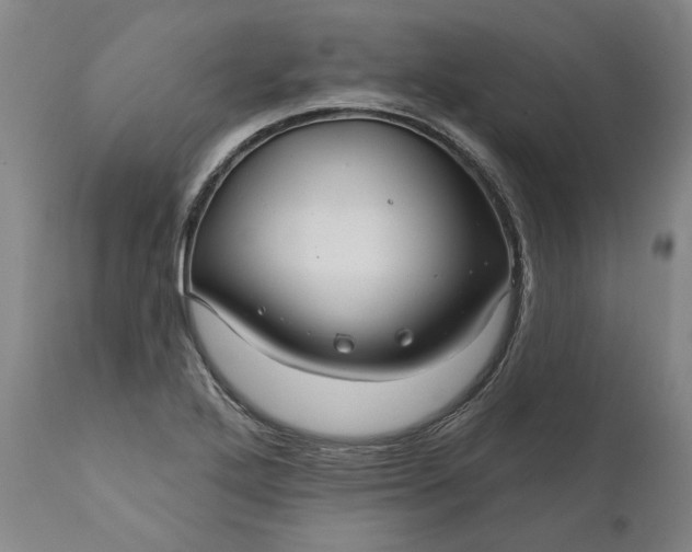 X0000111201272200907151405