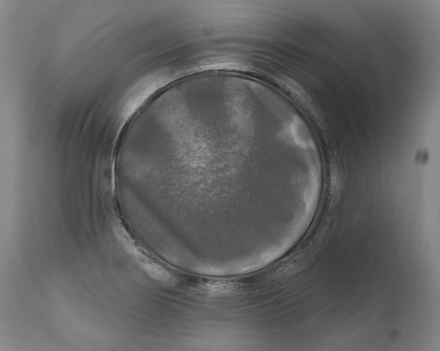 X0000111201274200907151405