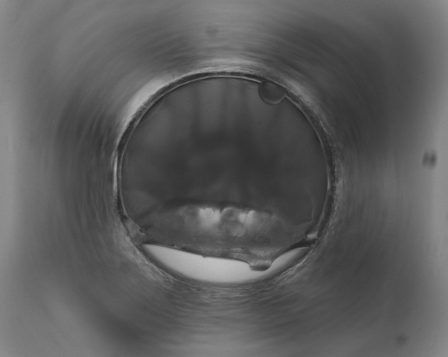 X0000111201275200907151405