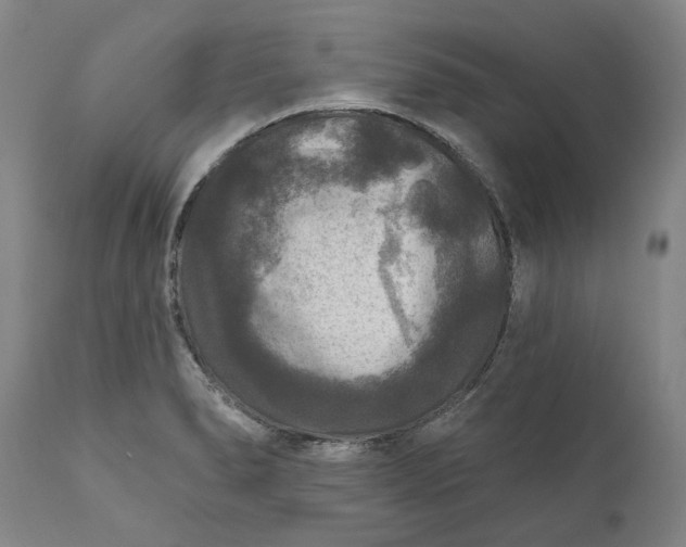 X0000111201278200907151405