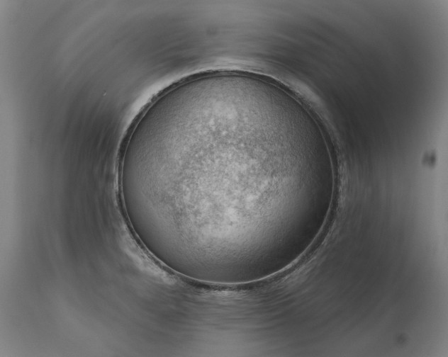 X0000111201280200907151405