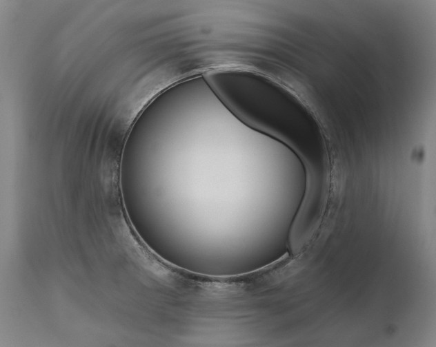 X0000111201281200907151405