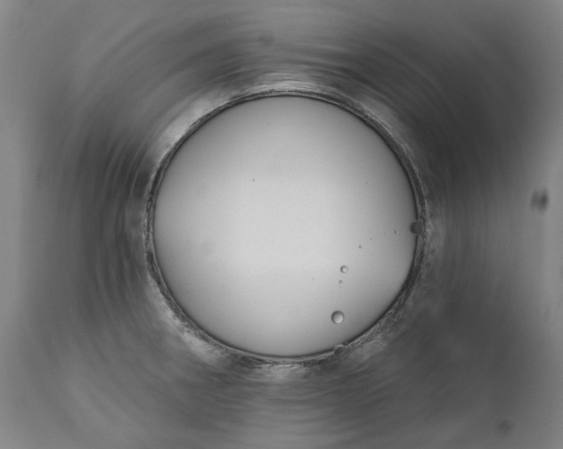 X0000111201282200907151404