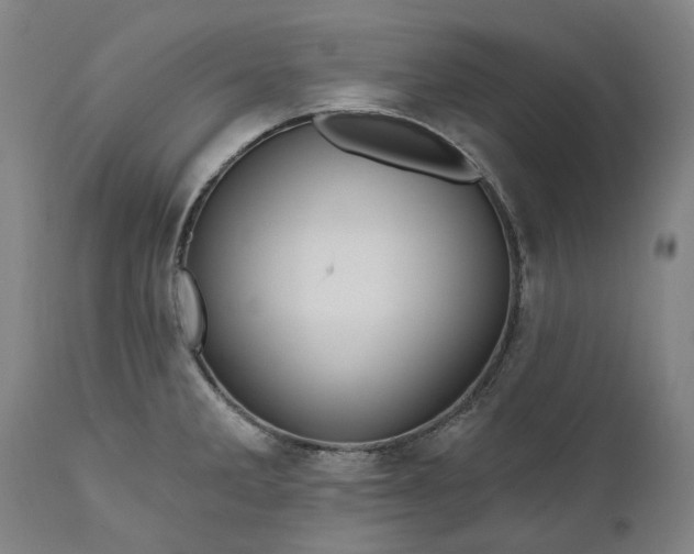 X0000111201285200907151404