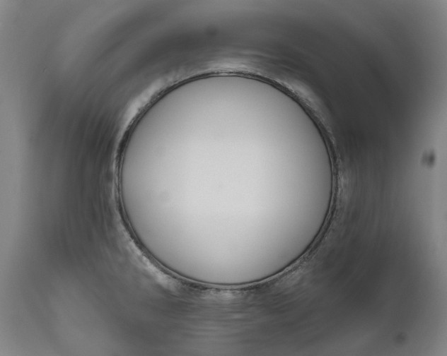 X0000111201286200907151404