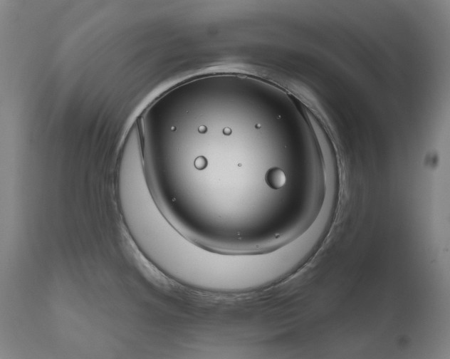 X0000111201292200907151404