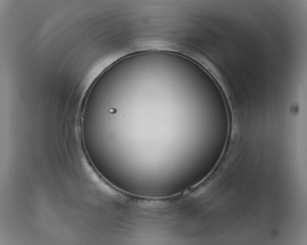 X0000111201293200907151404