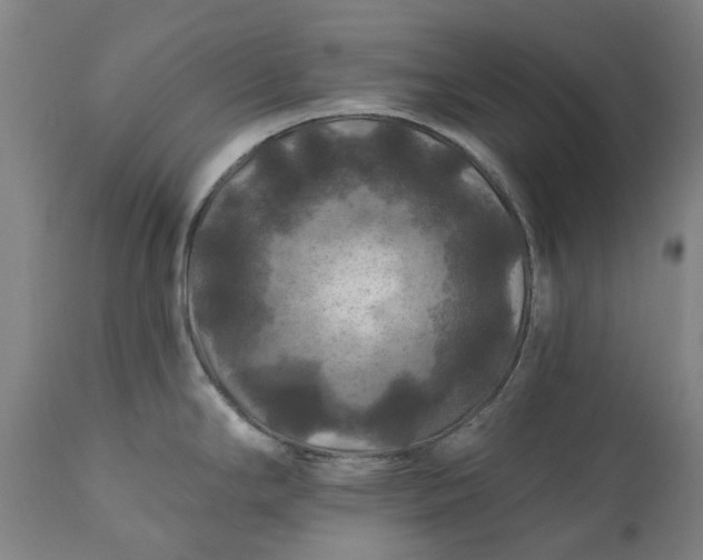 X0000111201294200907151404