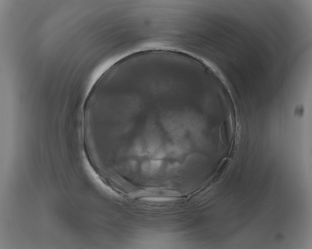 X0000111201295200907151404