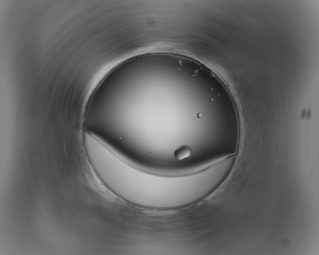 X0000111201296200907151404