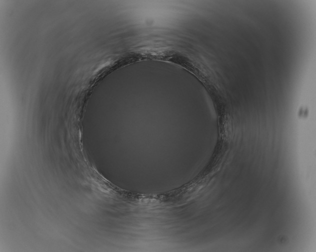 X0000111201297200907151404