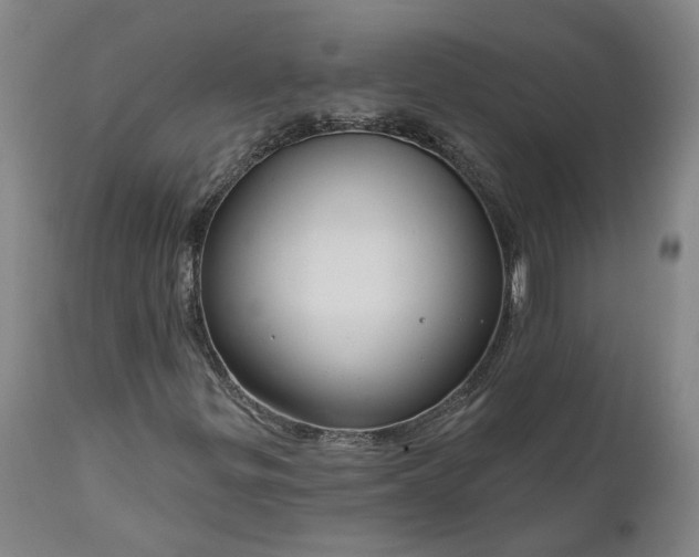 X0000111201299200907151404