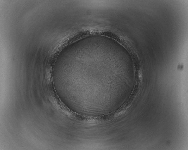 X0000111201300200907151404