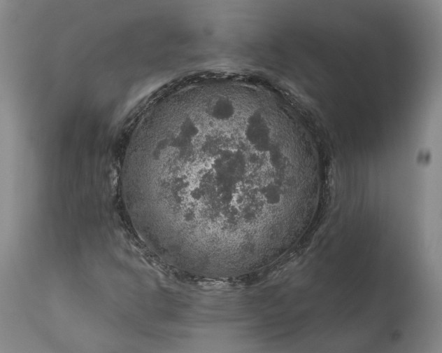 X0000111201302200907151404