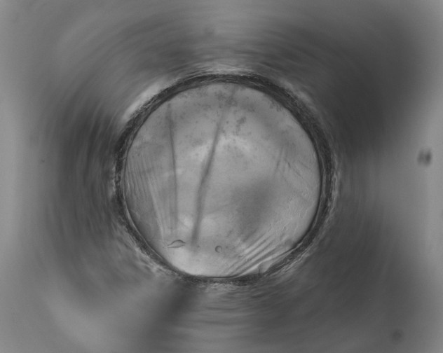 X0000111201306200907151404