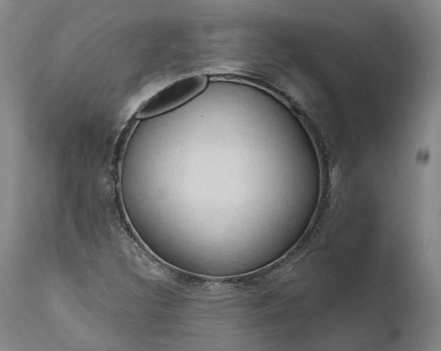 X0000111201308200907151404