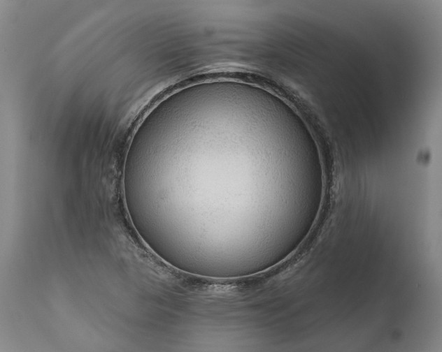 X0000111201313200907151404