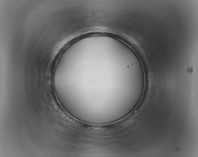 X0000111201318200907151404