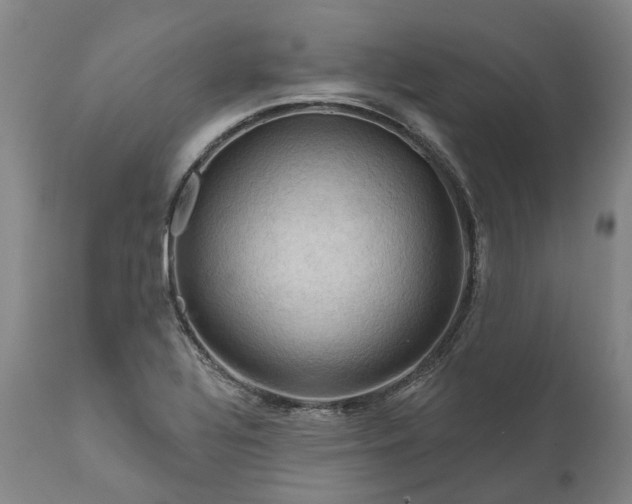 X0000111201320200907151404