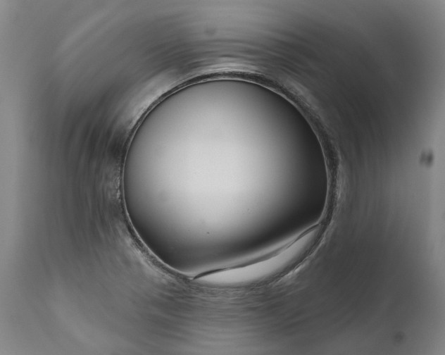 X0000111201321200907151404