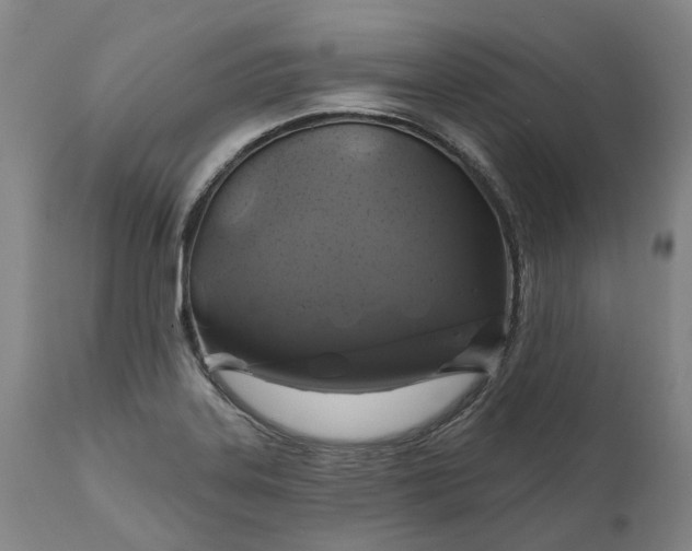 X0000111201323200907151404