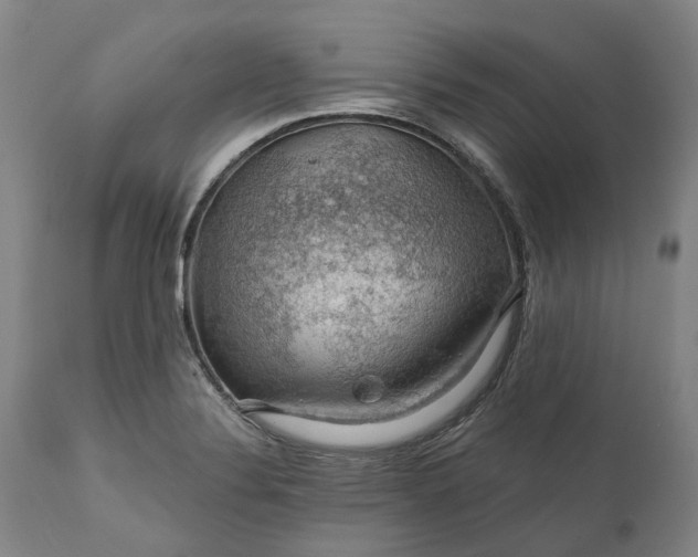 X0000111201324200907151404