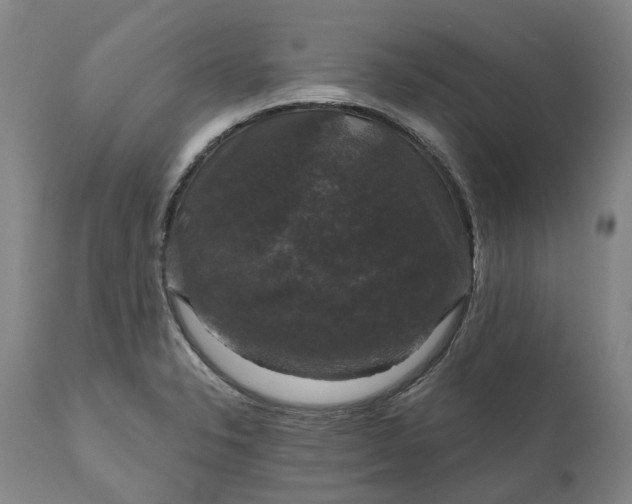 X0000111201326200907151404