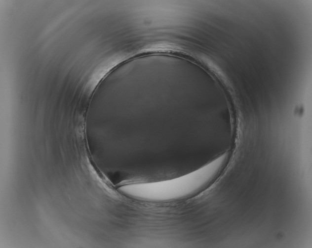 X0000111201329200907151404