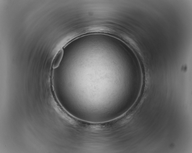 X0000111201330200907151404