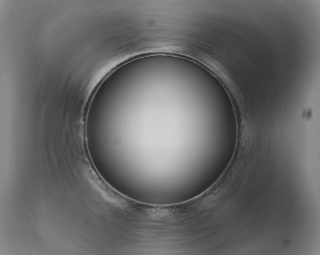 X0000111201332200907151404