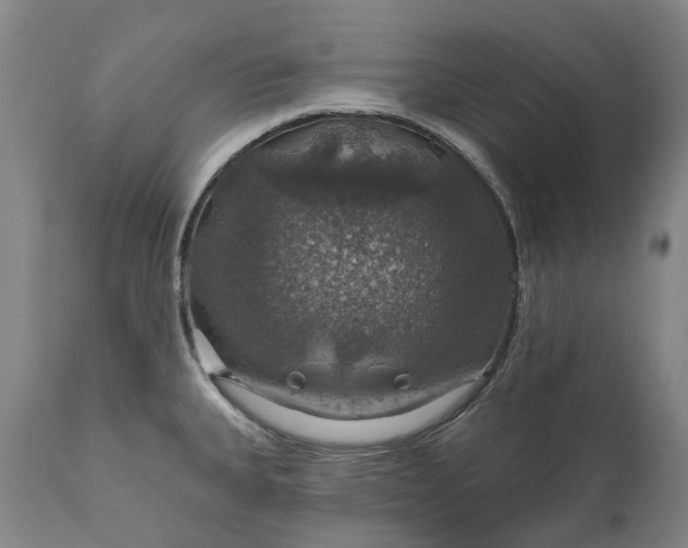 X0000111201335200907151404