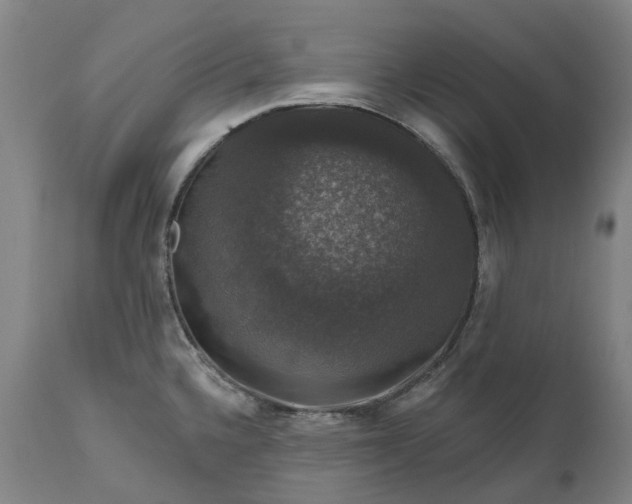 X0000111201336200907151404