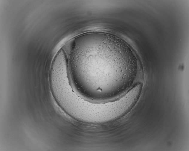 X0000111201338200907151404