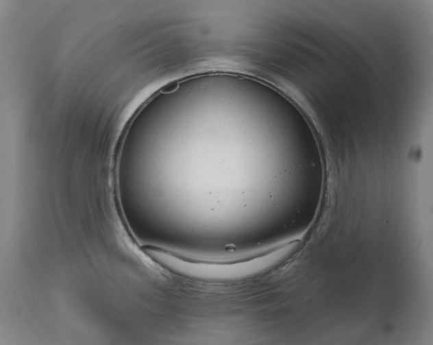 X0000111201339200907151404