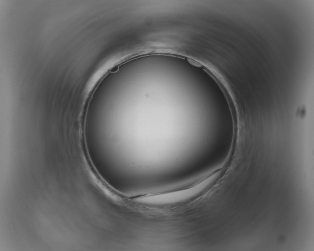 X0000111201341200907151404