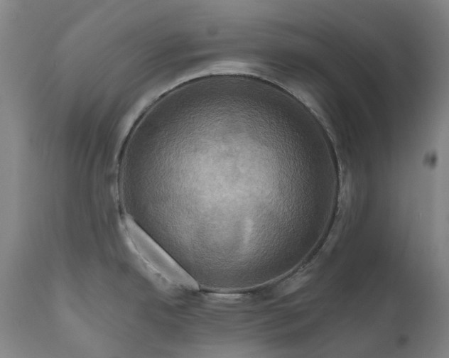 X0000111201342200907151404