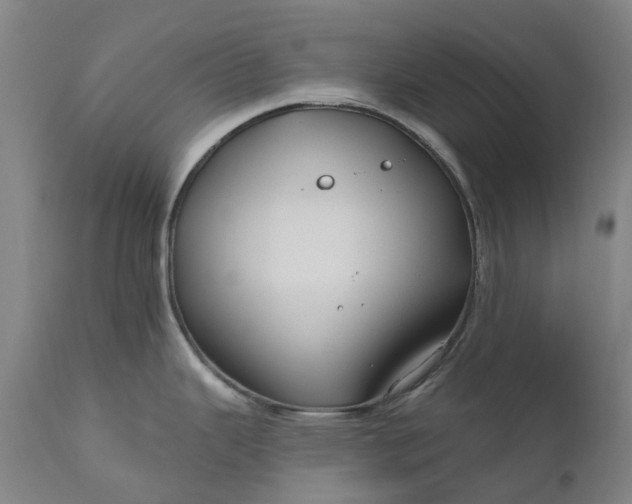 X0000111201343200907151404