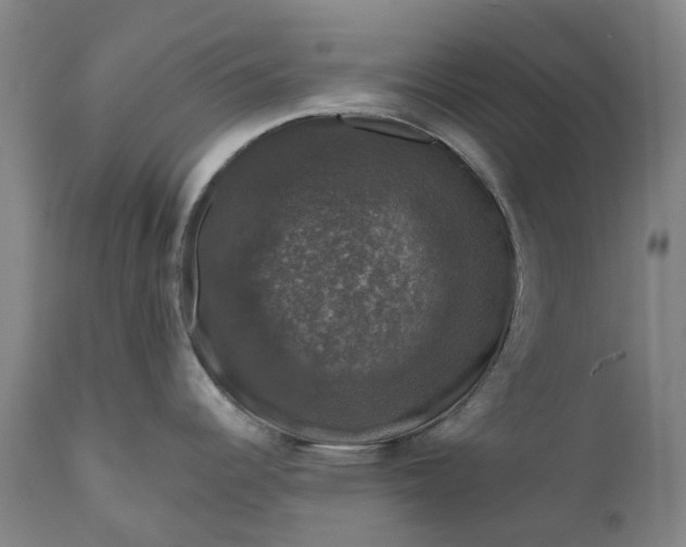 X0000111201344200907151404