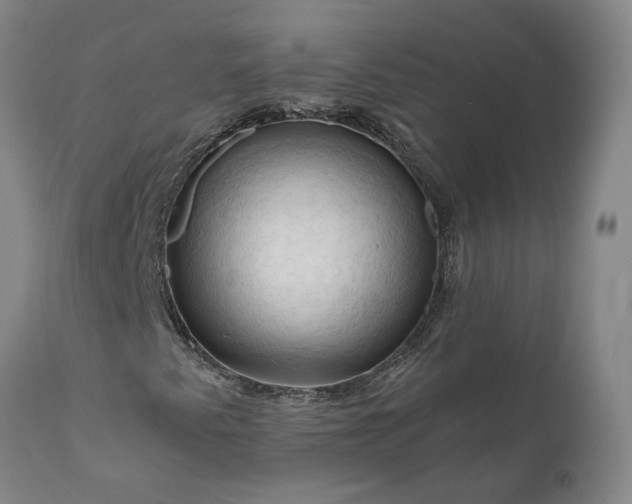 X0000111201345200907151403