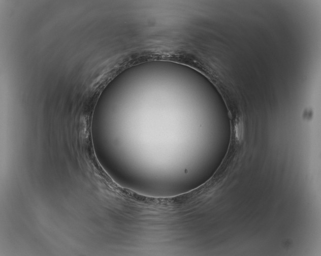 X0000111201347200907151403