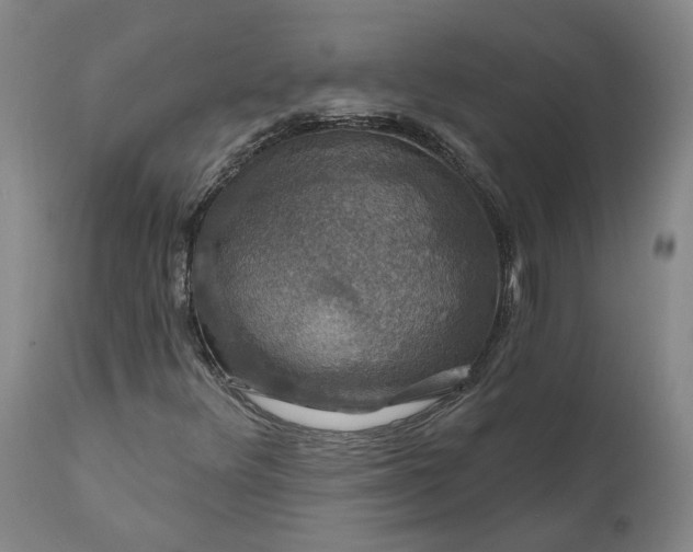 X0000111201348200907151403